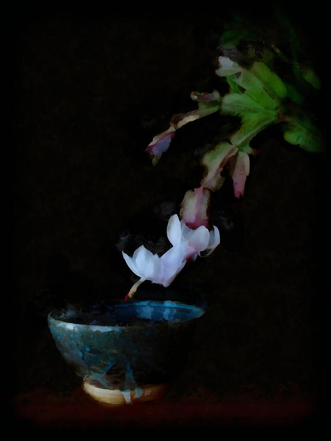 Christmas Cactus and Bowl Digital Art by Mark Forte