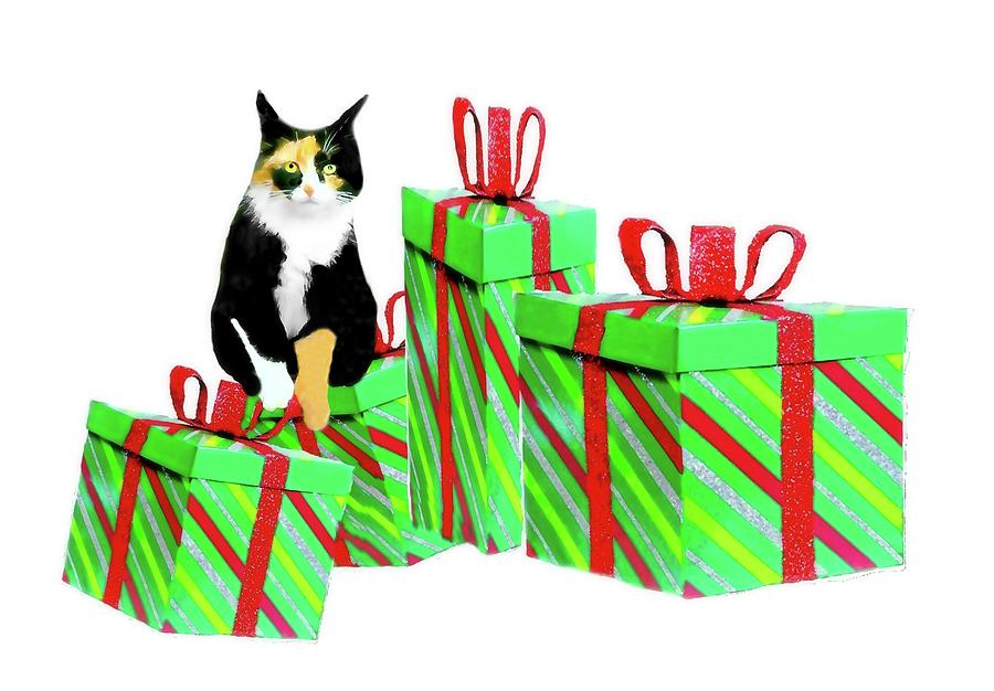 Christmas Photograph - Christmas Calico by Diana Angstadt