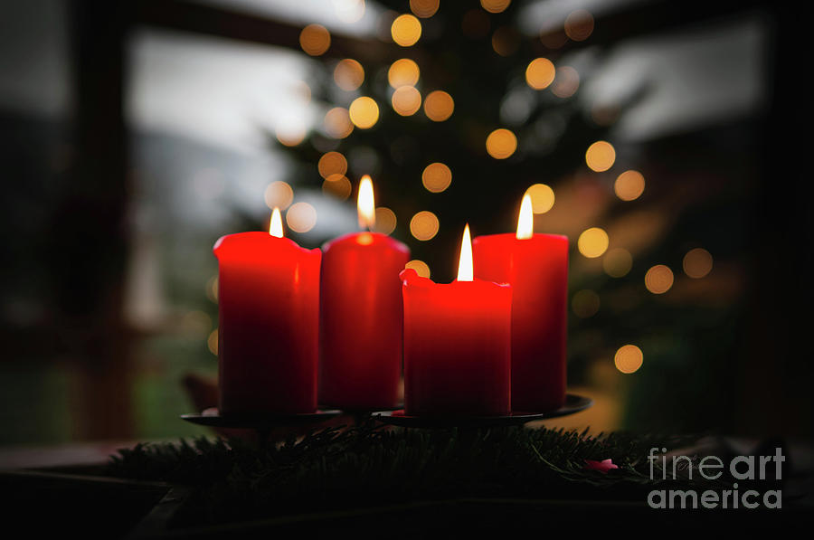 Christmas Candles Photograph by Sandi OReilly