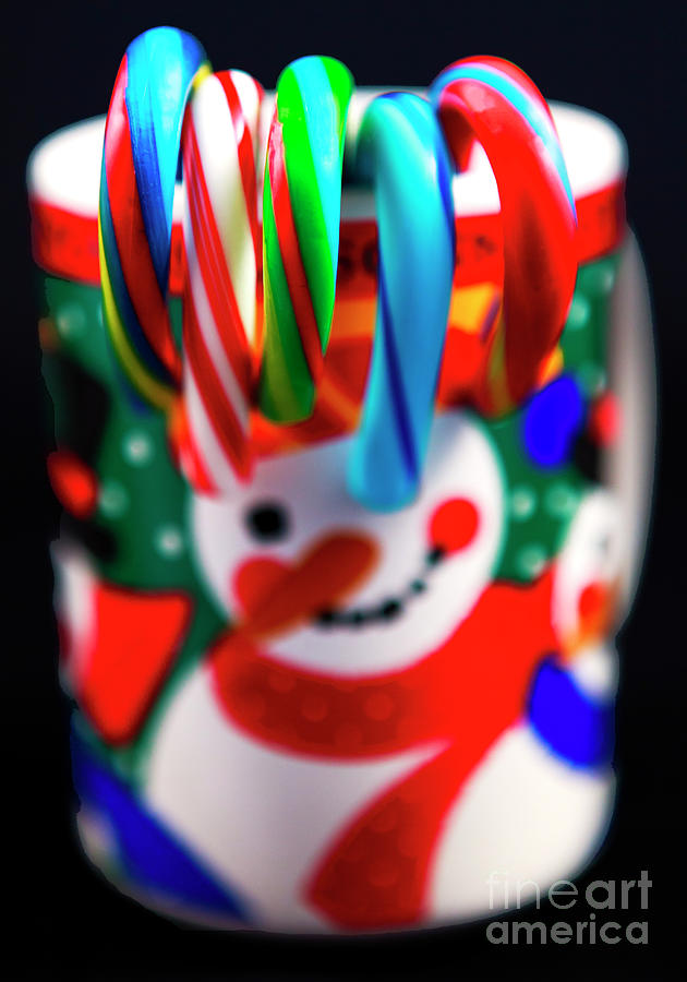 Christmas Candy Cane Colors Photograph by John Rizzuto