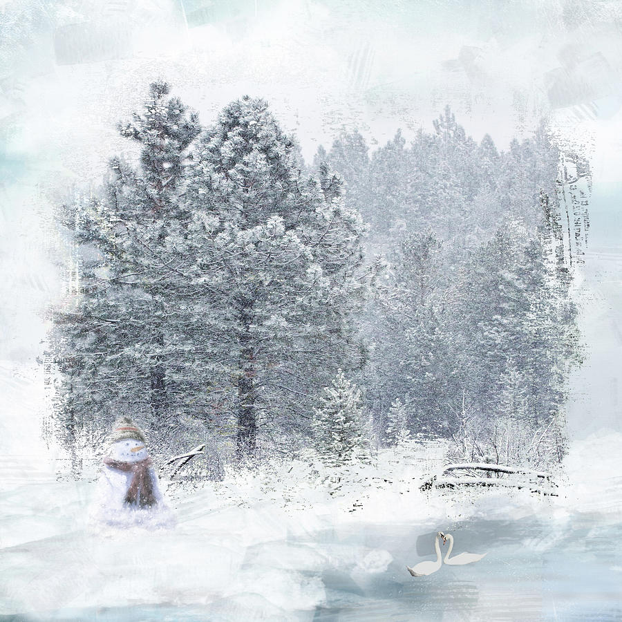 Winter Snow Scene Digital Art by Marilyn Wilson