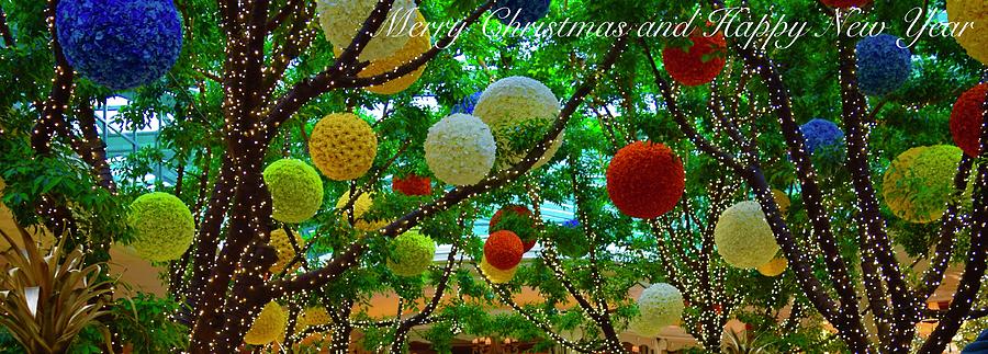 Christmas Lights Card Photograph by Bnte Creations