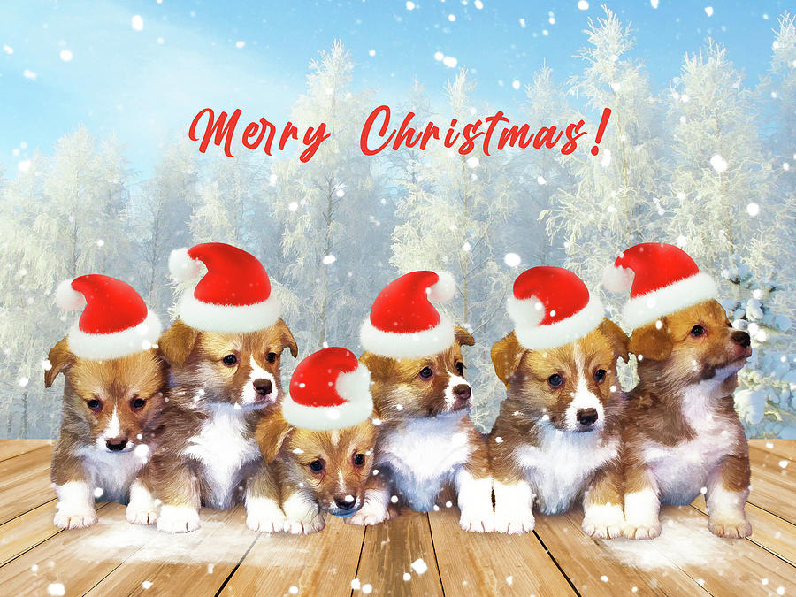 Christmas Card With Puppies And Fir Trees Digital Art