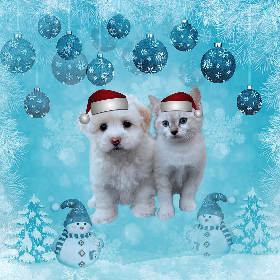 Christmas Cat and Dog Digital Art by Erika Kaisersot - Fine Art America