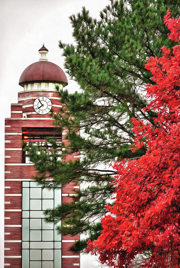 Christmas Colors on the Campus Photograph by CarolLMiller Photography