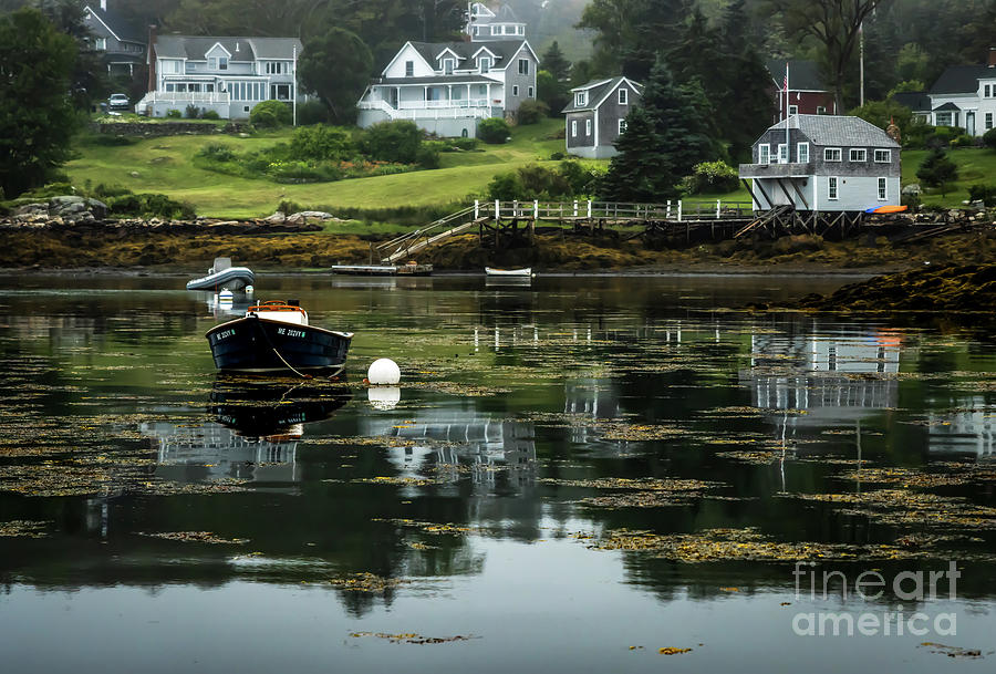 Christmas Cove Maine by Elizabeth Dow