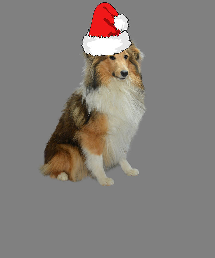 Christmas Cow Collie Dog Wearing A Santa Hat Holiday Collie Christmas Pajamas Digital Art By Stacy Mccafferty