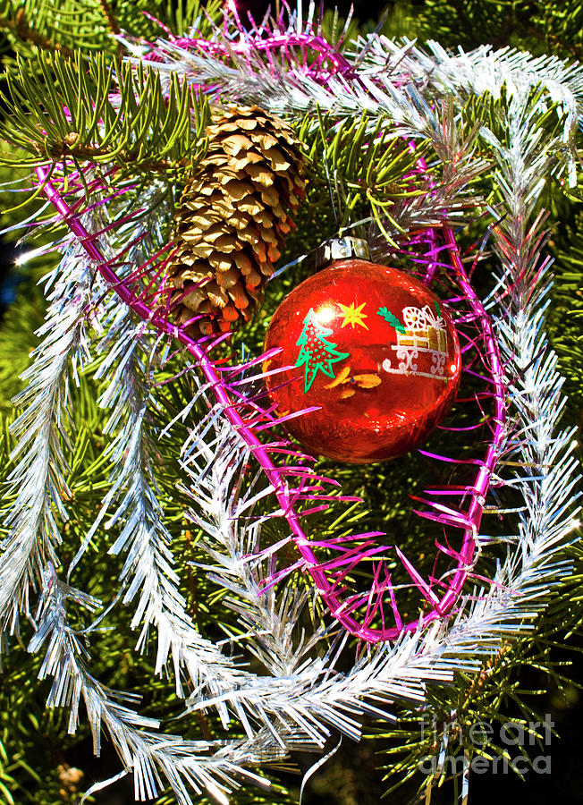 Christmas decoration Photograph by Irina Afonskaya