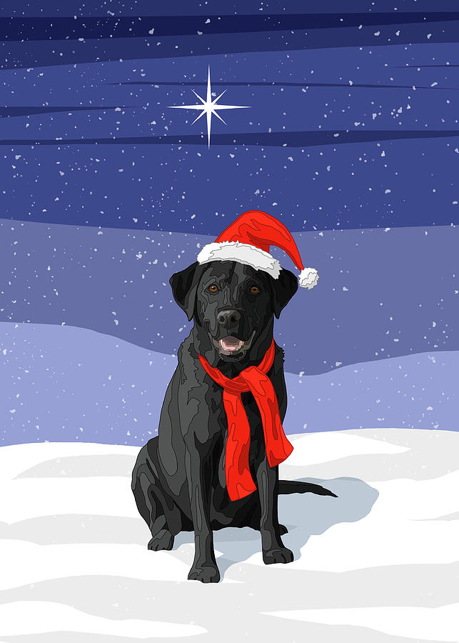 Dogs Digital Art - Christmas Dog Black Labrador Retriever by Crista Forest