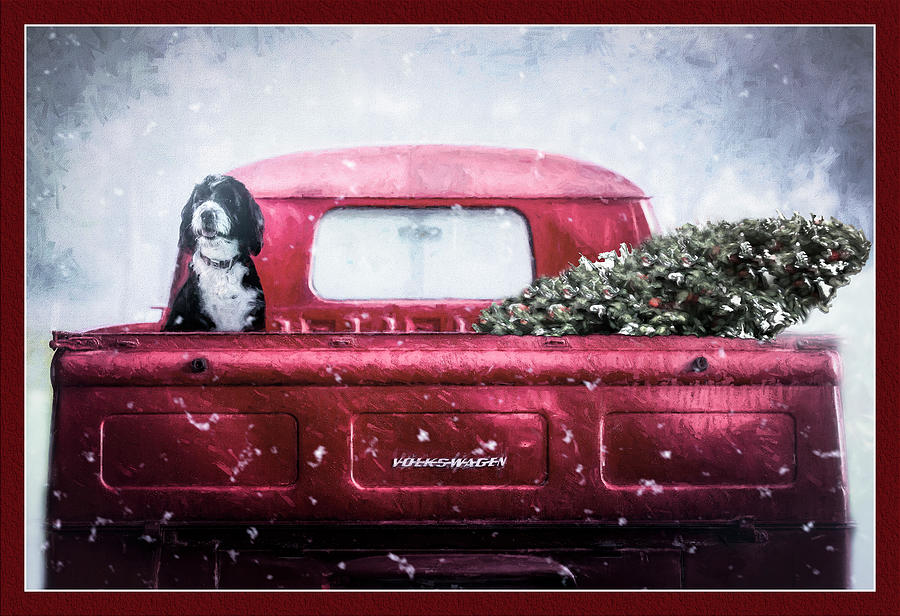 Christmas Dog  Photograph by Deborah Penland