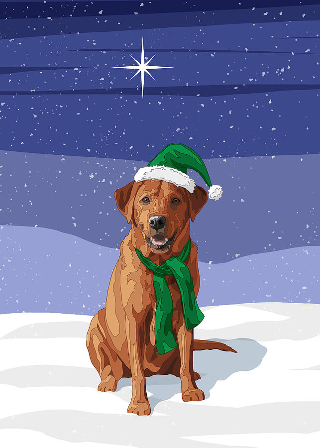Dogs Digital Art - Christmas Dog Fox Red Labrador Retriever by Crista Forest