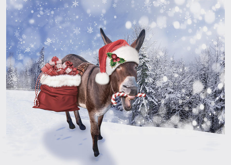 Christmas donkey with funny red hat Digital Art by Johnnie Art - Pixels