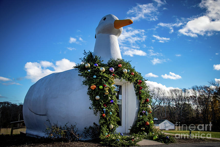 Christmas Duck by Erin O'Keefe