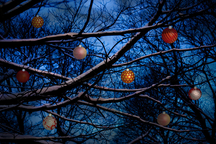 Christmas Dusk Mixed Media by Moira Law