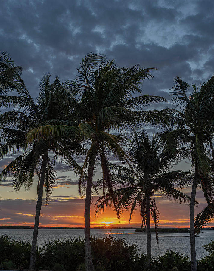 Florida Photograph - Christmas Eve Sunrise Marco Island  by Joey Waves