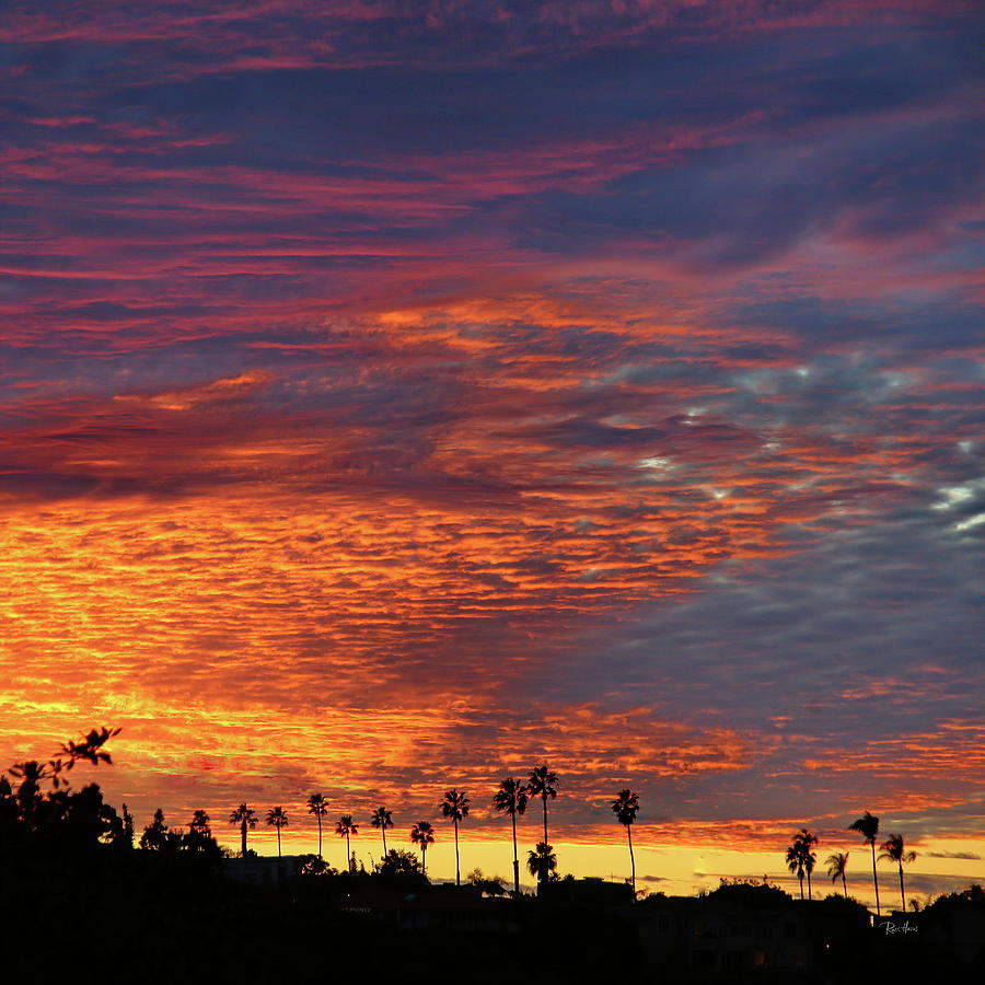 Christmas Eve Sunset in La Jolla Photograph by Russ Harris