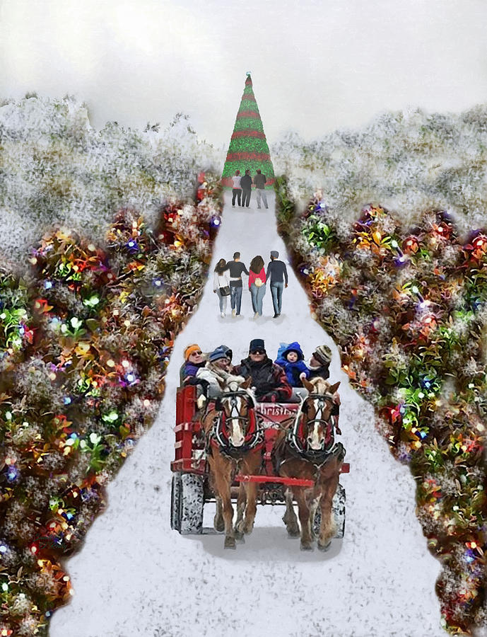Christmas Festival At The Park Mixed Media by Sandi OReilly