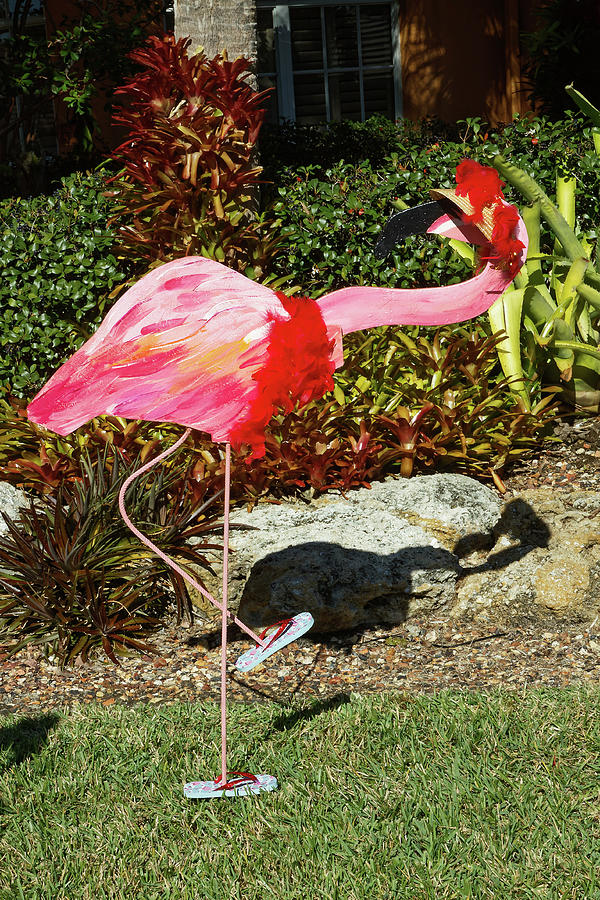 Christmas Flamingo in Flip Flops Photograph by Sally Weigand