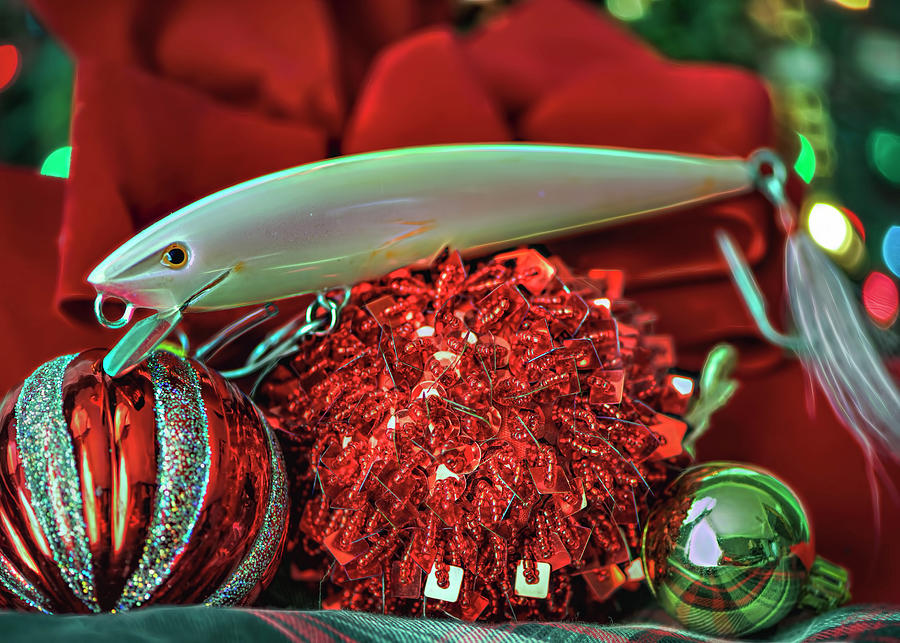 Christmas for the fisherman Photograph by Cordia Murphy