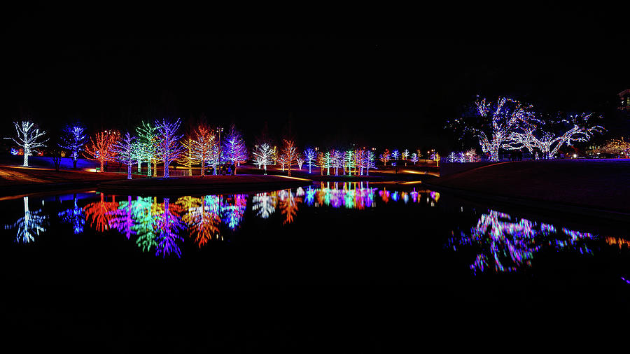 Christmas Forest Reflection 2 Photograph by Ron Long Ltd Photography