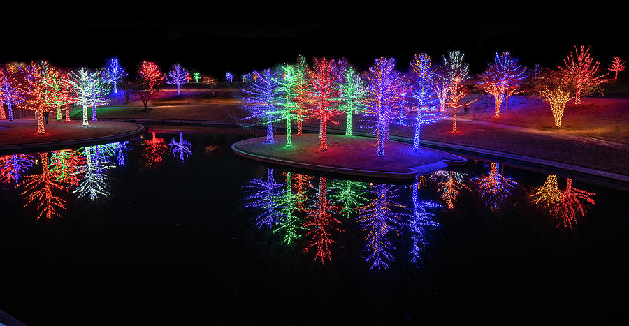 Christmas Forest Reflection Photograph by Ron Long Ltd Photography