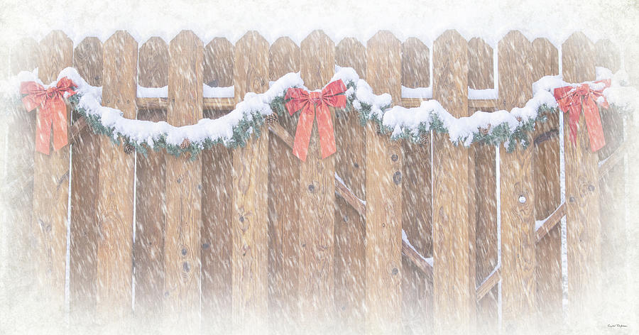Christmas Garland on Fence Photograph by Crystal Wightman