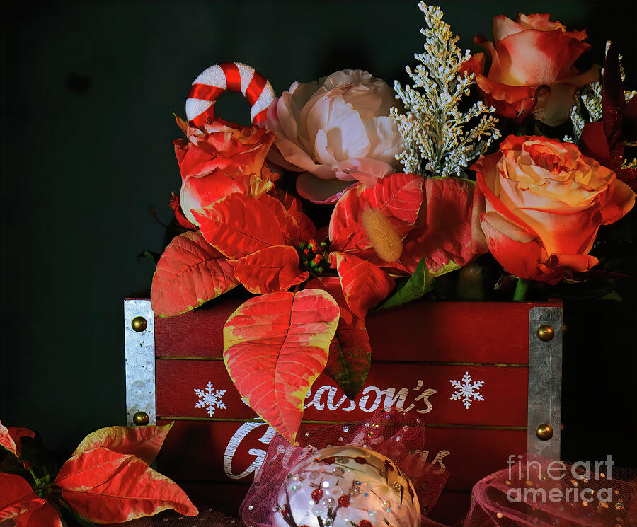 Christmas Gift Photograph by Diana Mary Sharpton