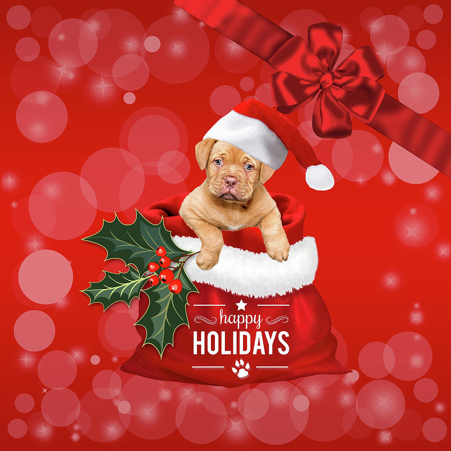Christmas Gift for You Cute Santa Puppy Digital Art by Doreen Erhardt