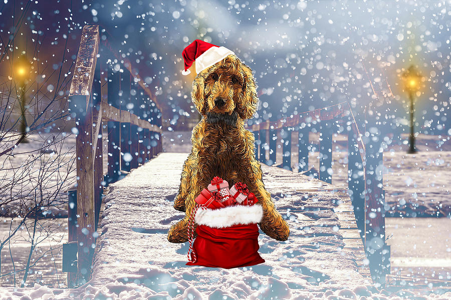 Goldendoodle christmas store