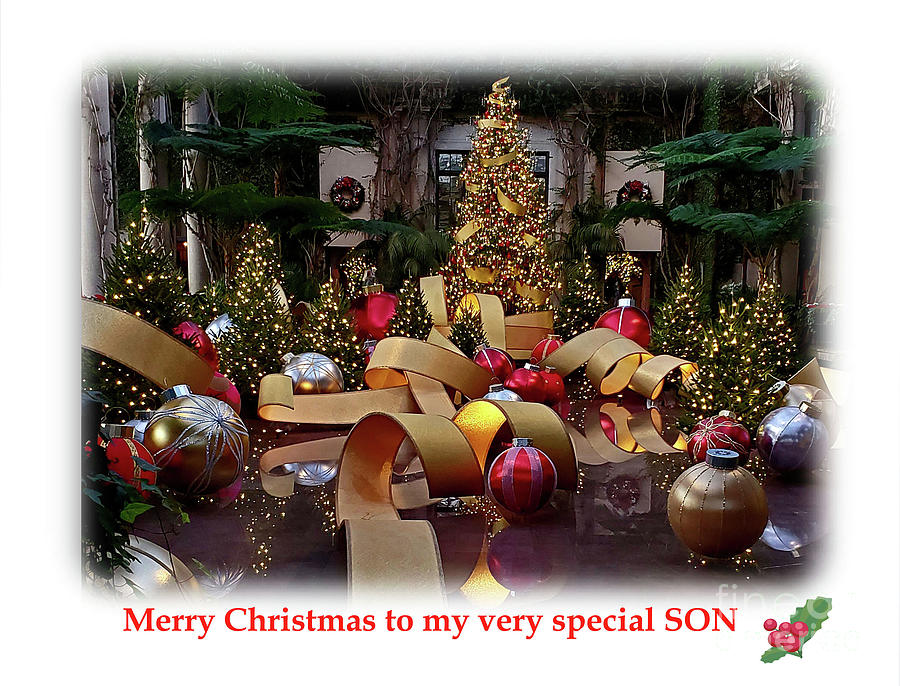 Christmas Greetings Son Photograph by Cindy Manero