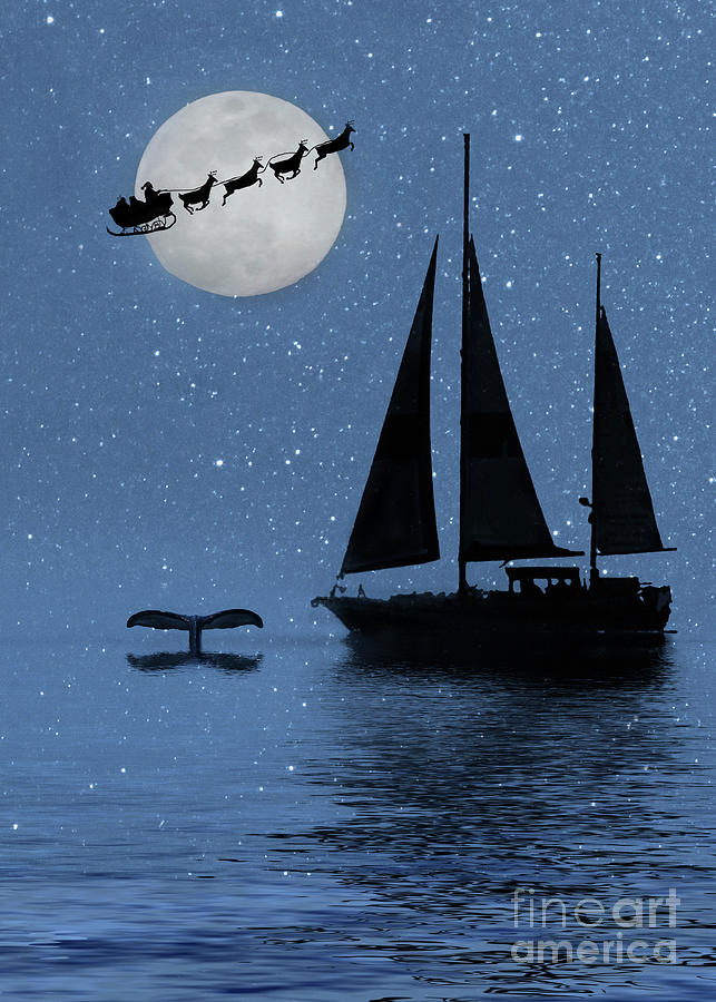 Christmas Holiday Sailboat and Whales Tail Photograph by Stephanie Laird
