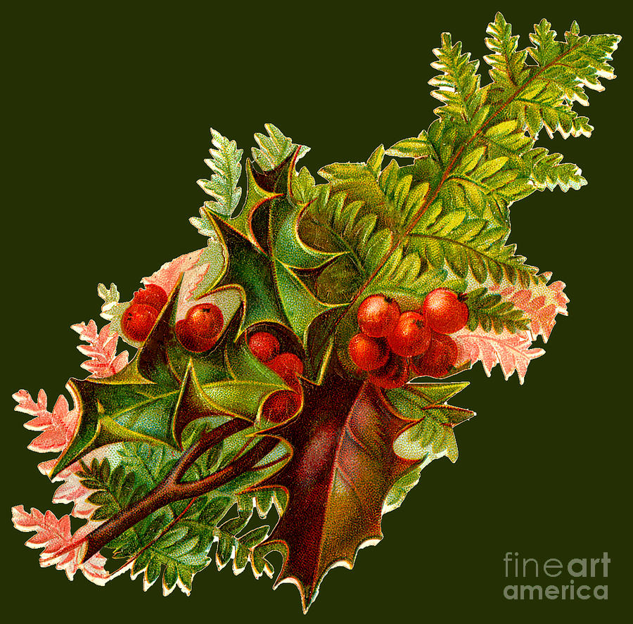 Christmas Holly And Berries Painting