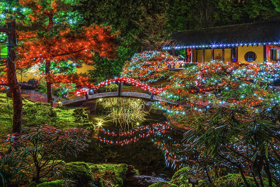 Christmas illuminations in  The Garden  Photograph by Alex Lyubar