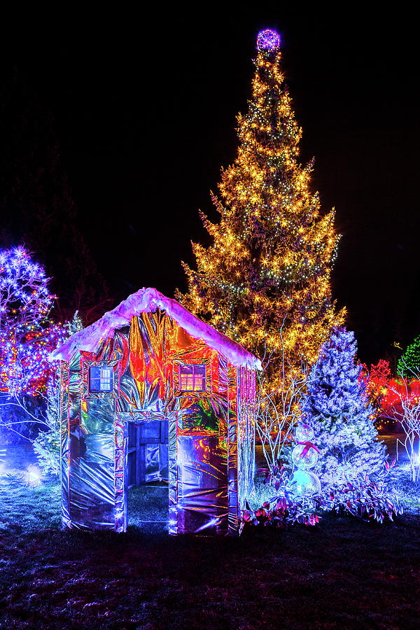Christmas illuminations in Van Dusen Gardens  Photograph by Alex Lyubar