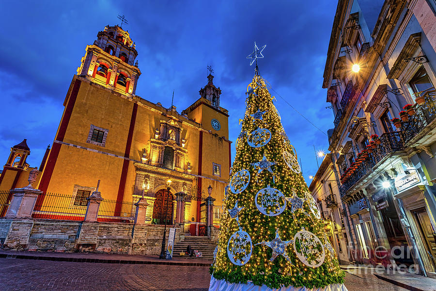 Christmas in Guanajuato, Mexico Photograph by Sam Antonio