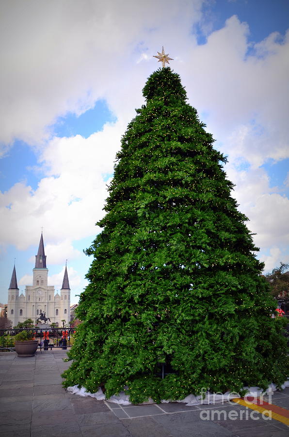 Christmas in New Orleans Photograph by Tru Waters Pixels