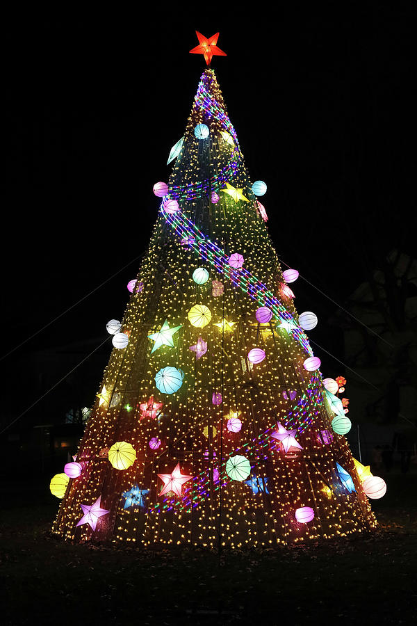 Christmas in the City 35 - Staten Island Winter Festival by Allen Beatty Christmas in the City 35 - Staten Island Winter Festival by Allen Beatty