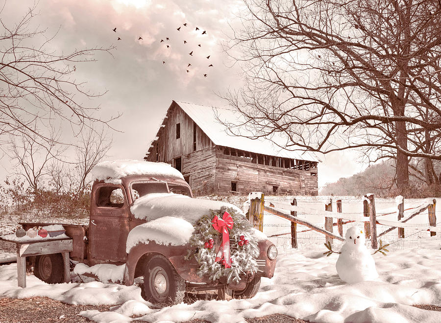 Christmas in the Countryside Photograph by Debra and Dave Vanderlaan ...