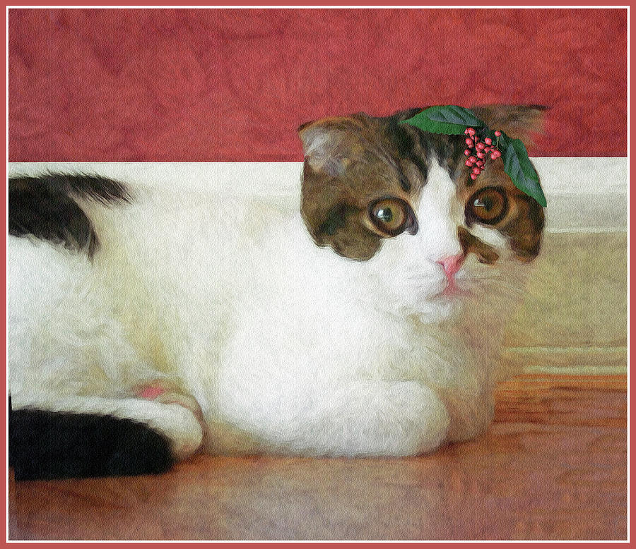 Christmas Photograph - Christmas Kitty by Claudia OBrien
