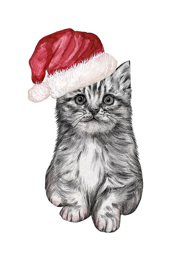 Christmas Kitty Digital Art