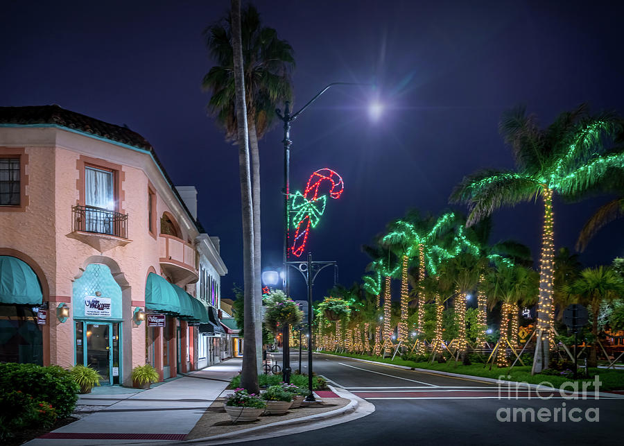 Christmas Light in Venice, Florida 2 Photograph by Liesl Walsh