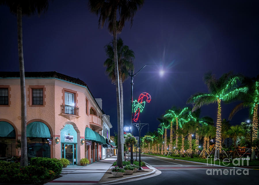 Christmas Light in Venice, Florida Photograph by Liesl Walsh Pixels