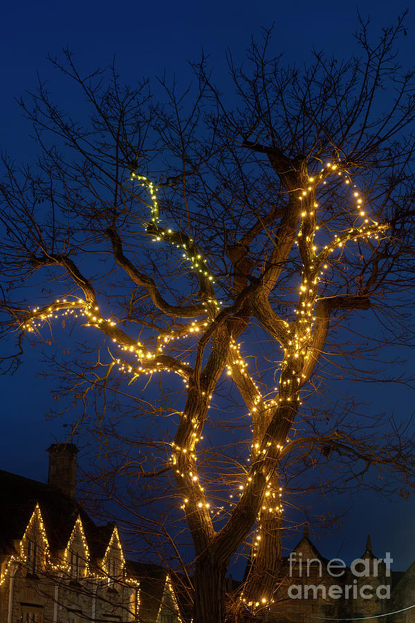 Christmas Lights in Chipping Campden Photograph by Tim Gainey