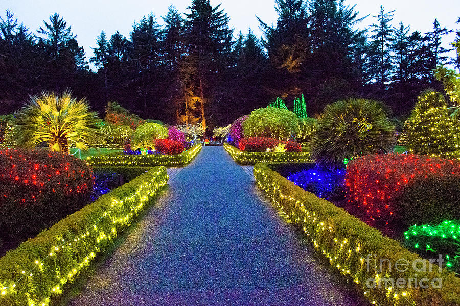 Christmas Lights at Shore Acres Gardens State Park Photograph by Janna