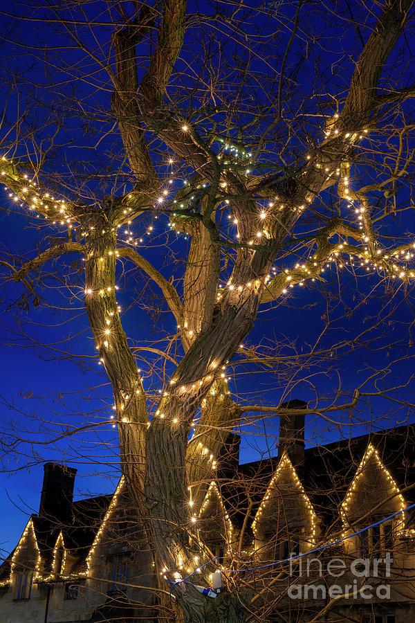 Christmas Lights Chipping Campden at Dawn Photograph by Tim Gainey