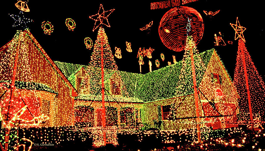 Christmas Lights, Disney World Photograph by A Macarthur Gurmankin