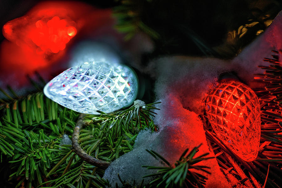 Winter Photograph - Christmas Lights Glowing Bright by Rick Berk