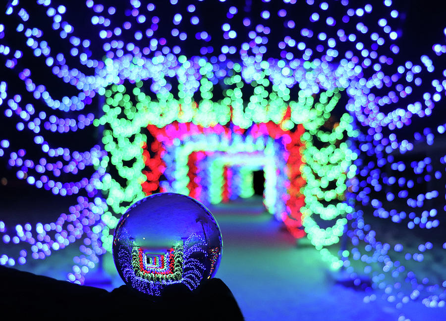 Christmas Lights Walk Lensball Photograph by David T Wilkinson