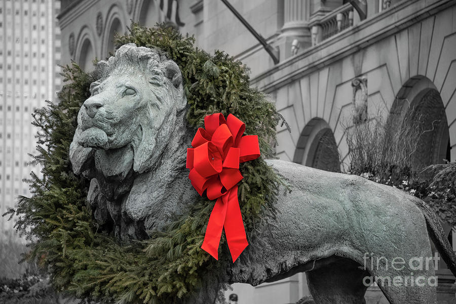 Christmas Photograph - Christmas Lion by Juli Scalzi