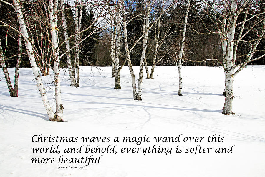 Christmas Magic Wand Photograph by Debbie Oppermann